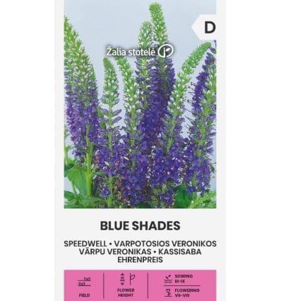 Ærenpris "blue shades" - Blomsterverden