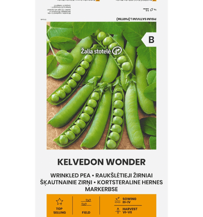 Ært "Kelvedon Wonder"