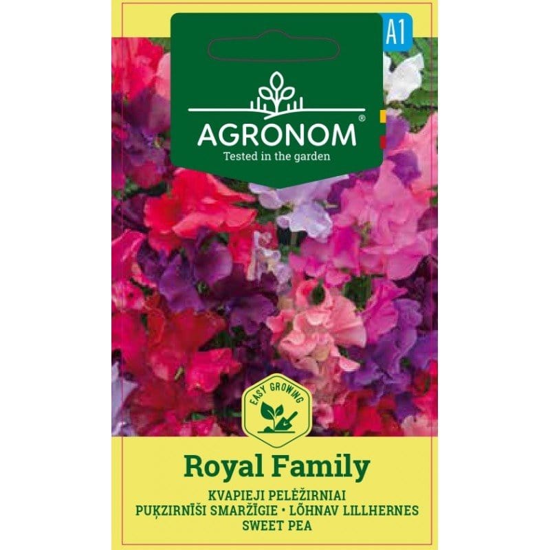 Ærteblomst "Agronom - Royal Family" - Blomsterverden