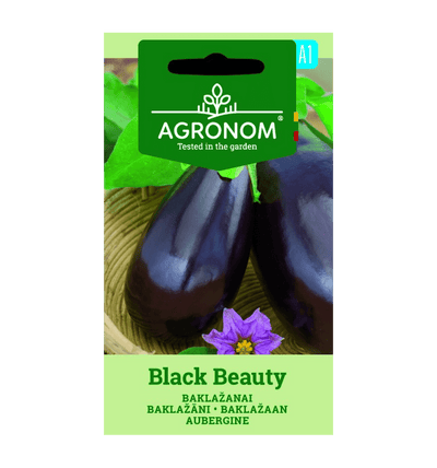 Aubergine 'Black Beauty'