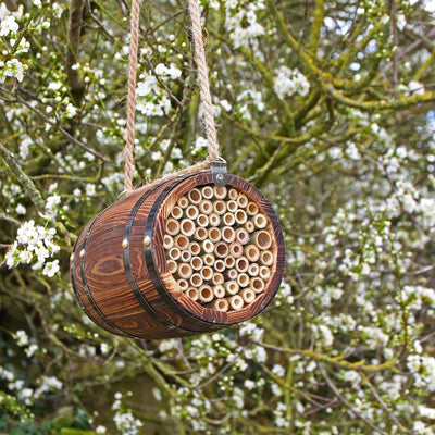Bitønden - 'The Bee Barrel' - Blomsterverden
