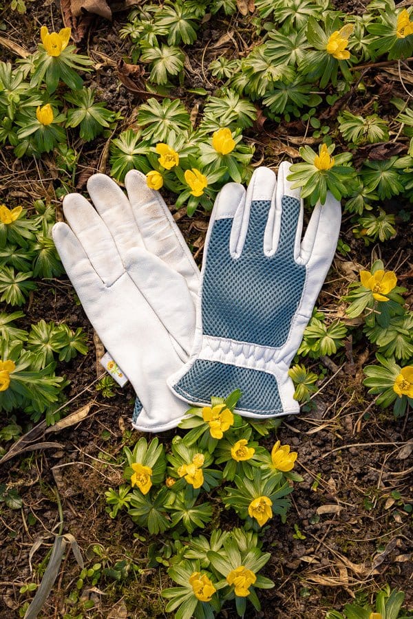 Leather handske Blomsterverden