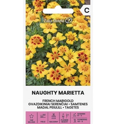 Frøkenhat "Naughty Marietta" - Blomsterverden