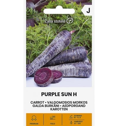 Gulerod "Purple Sun H" - Blomsterverden