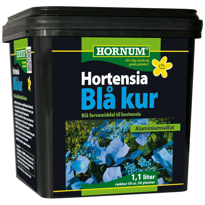 Hornum Hortensia blå kur - Blomsterverden