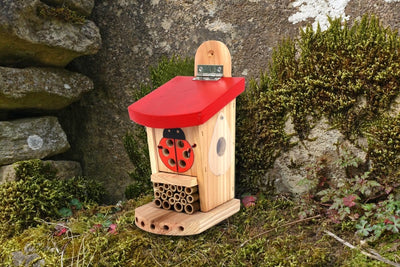 Mariehøne- og insekthytte 'Ladybird & Insect Lodge' - Blomsterverden