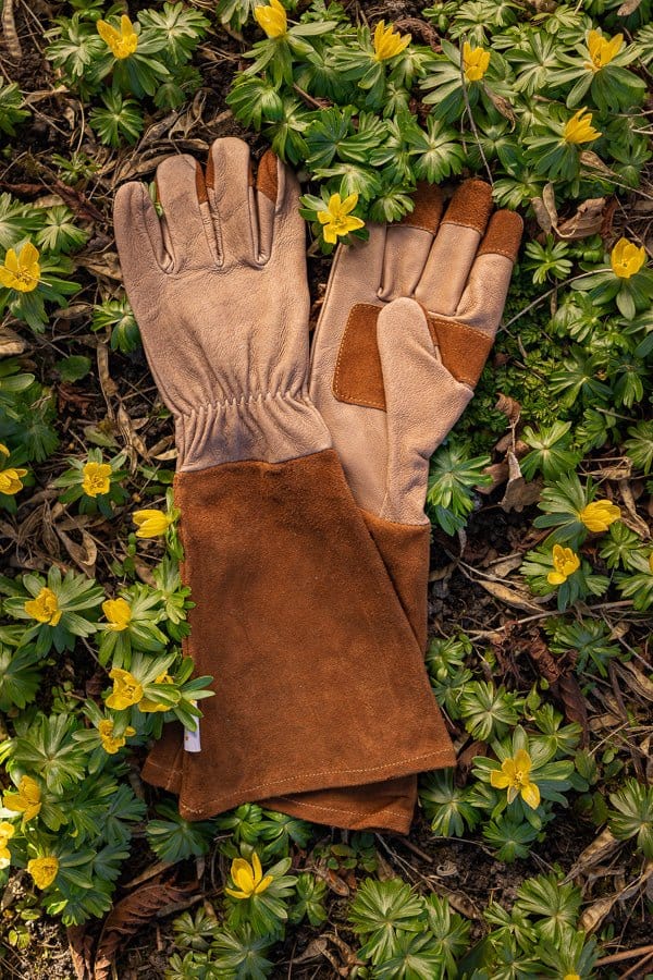 Leather handske Blomsterverden
