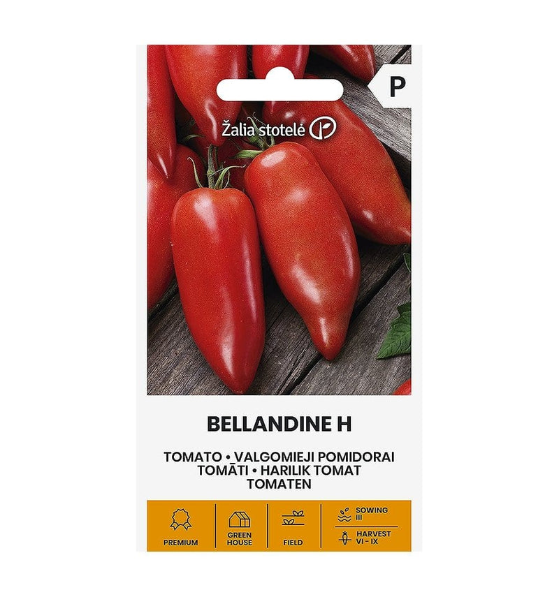 Tomat "Bellandine H" - Blomsterverden