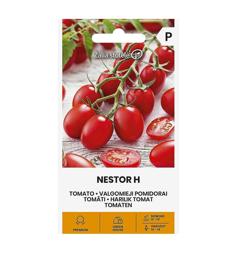Tomat "Nestor H" - Blomsterverden