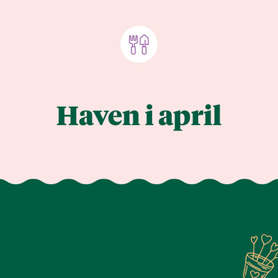 Haven i april