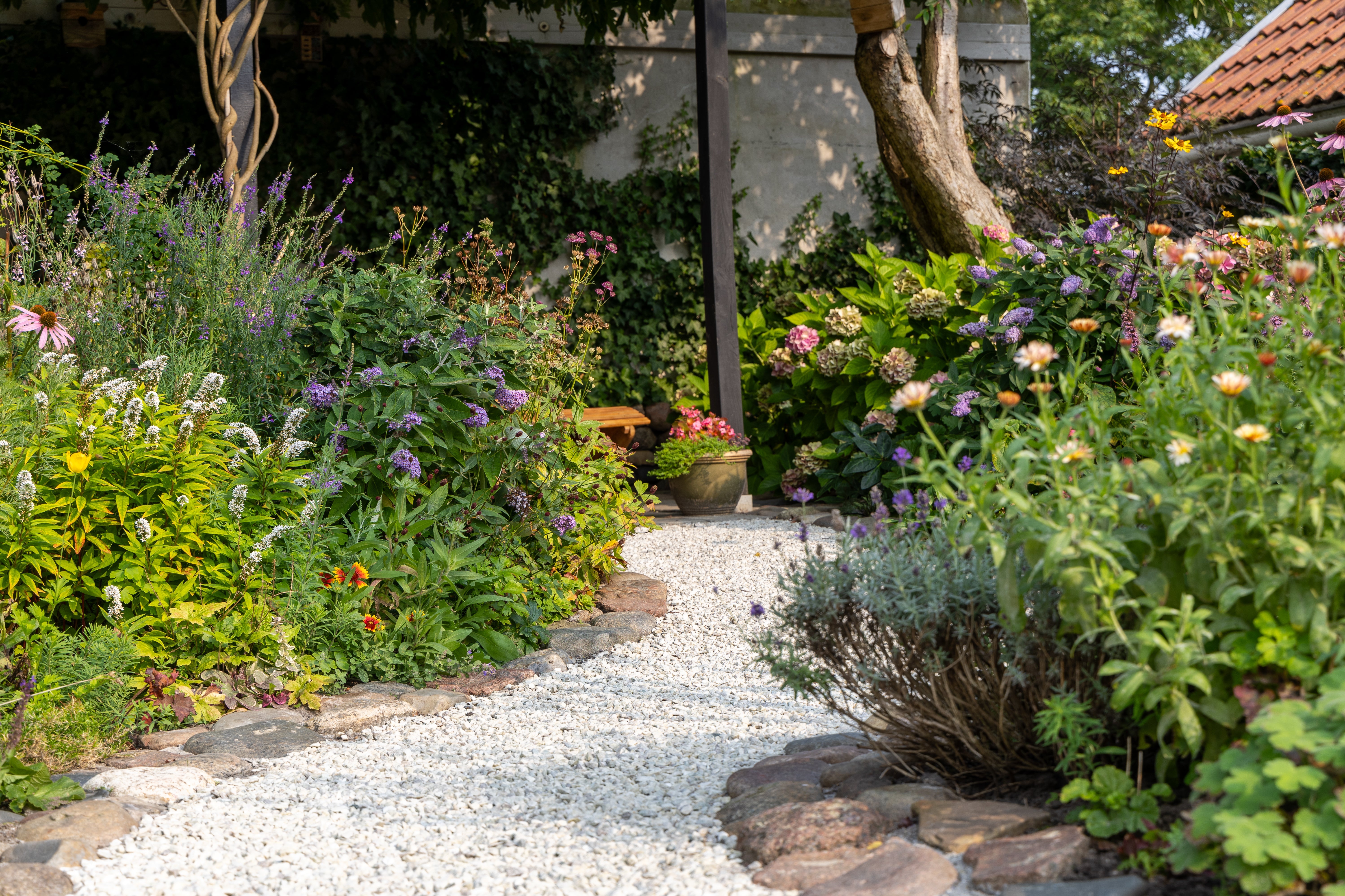 Nyheder - Blomsterløg 2025