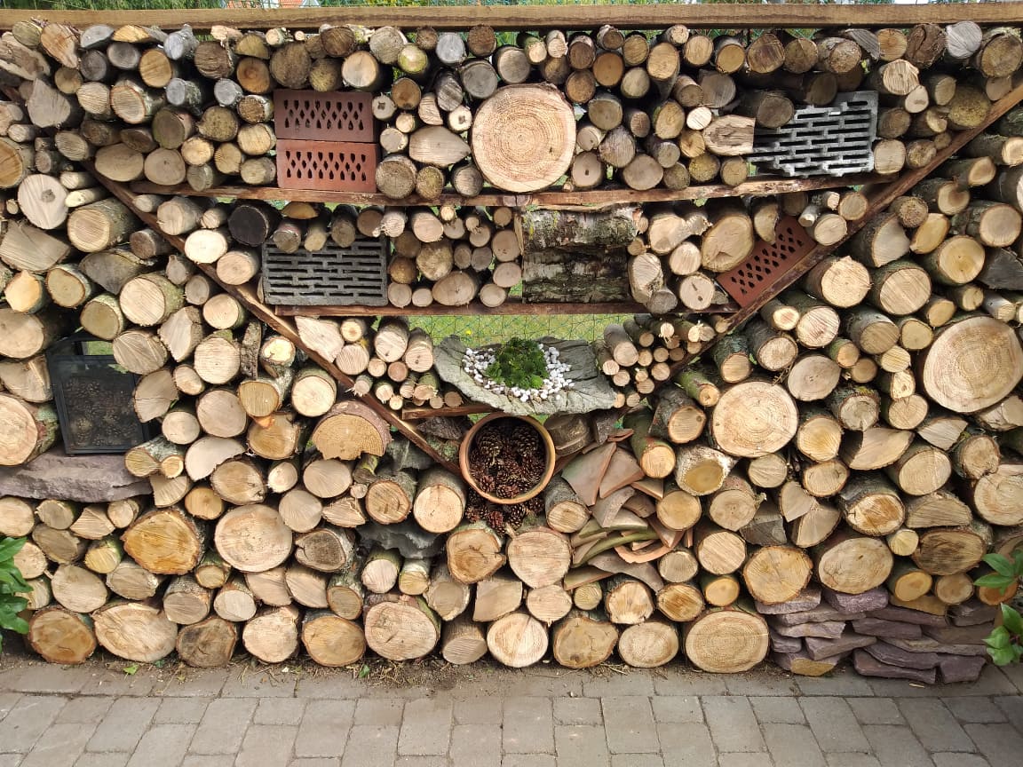 Insekthoteller | Blomsterverden