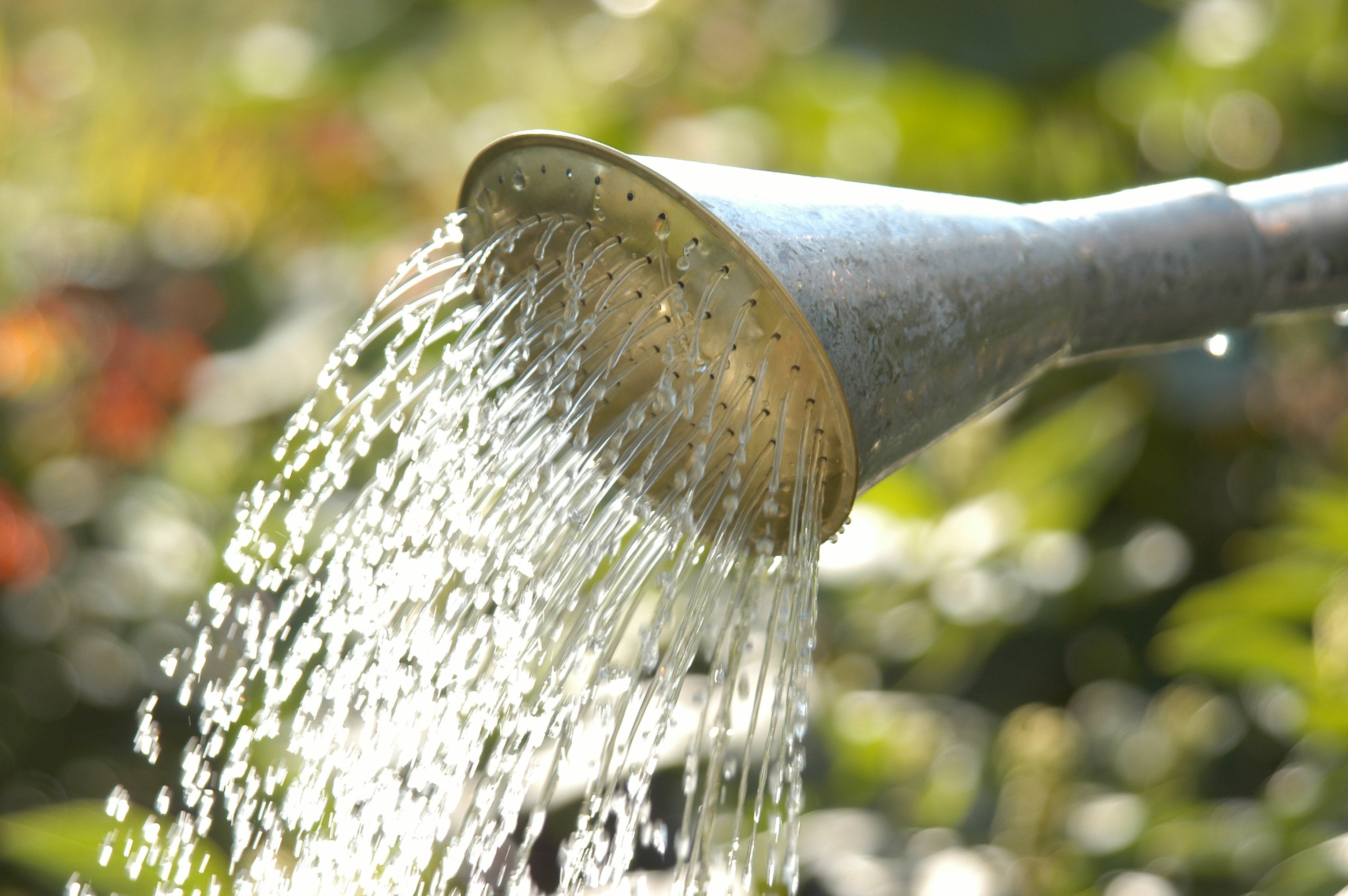 Vandkander og vandingsystemer
