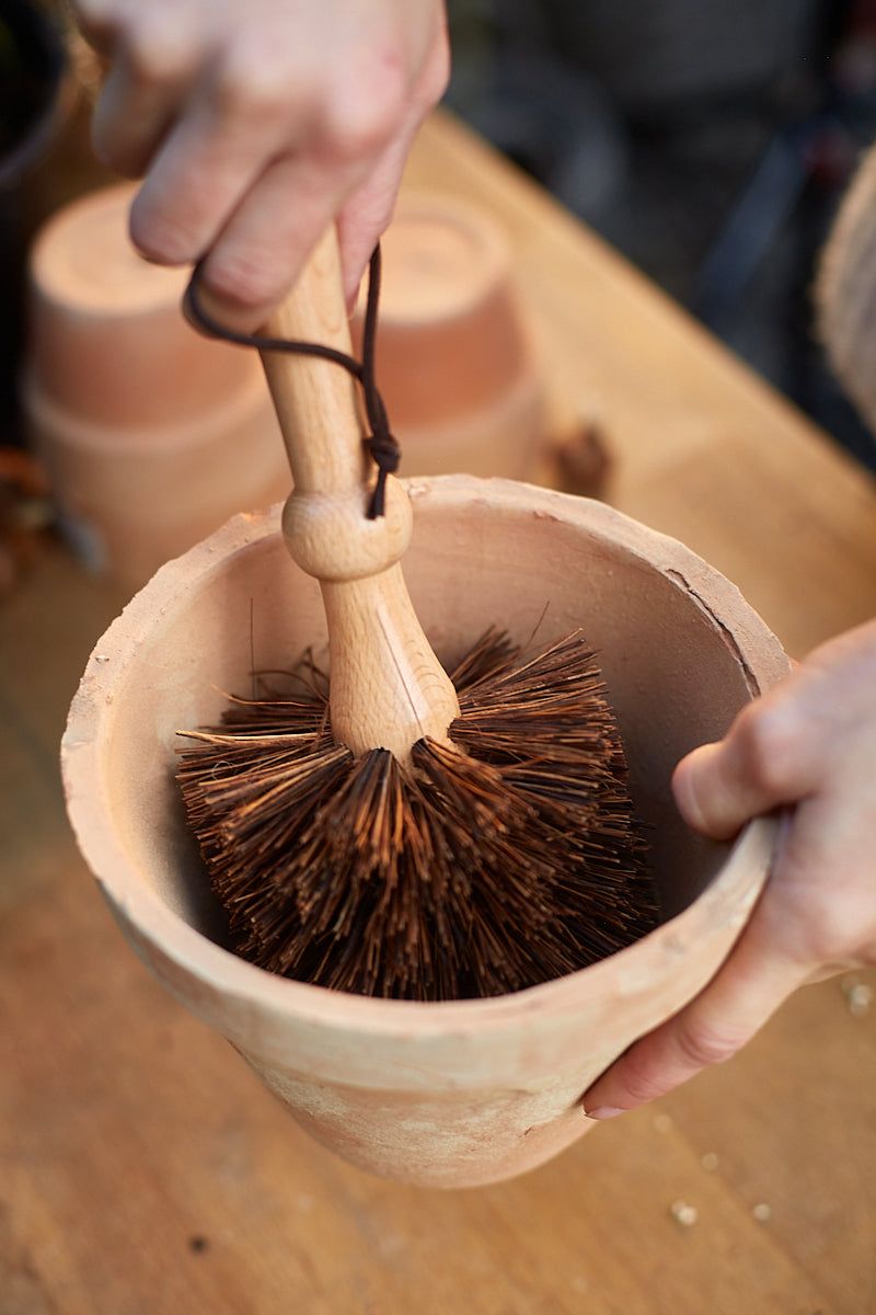 Potte/krukke-børste