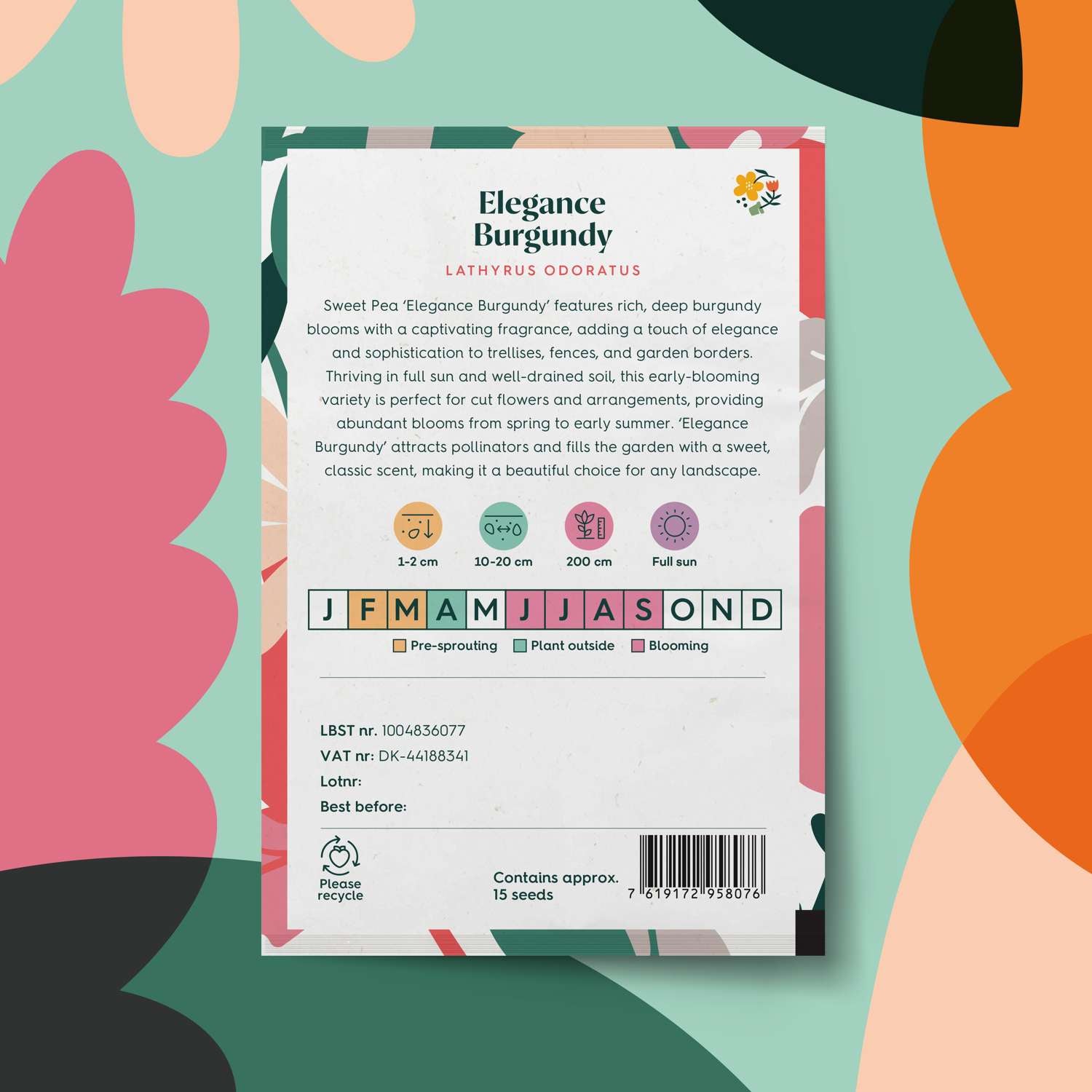 Ærteblomst 'Elegance Burgundy' (frø)