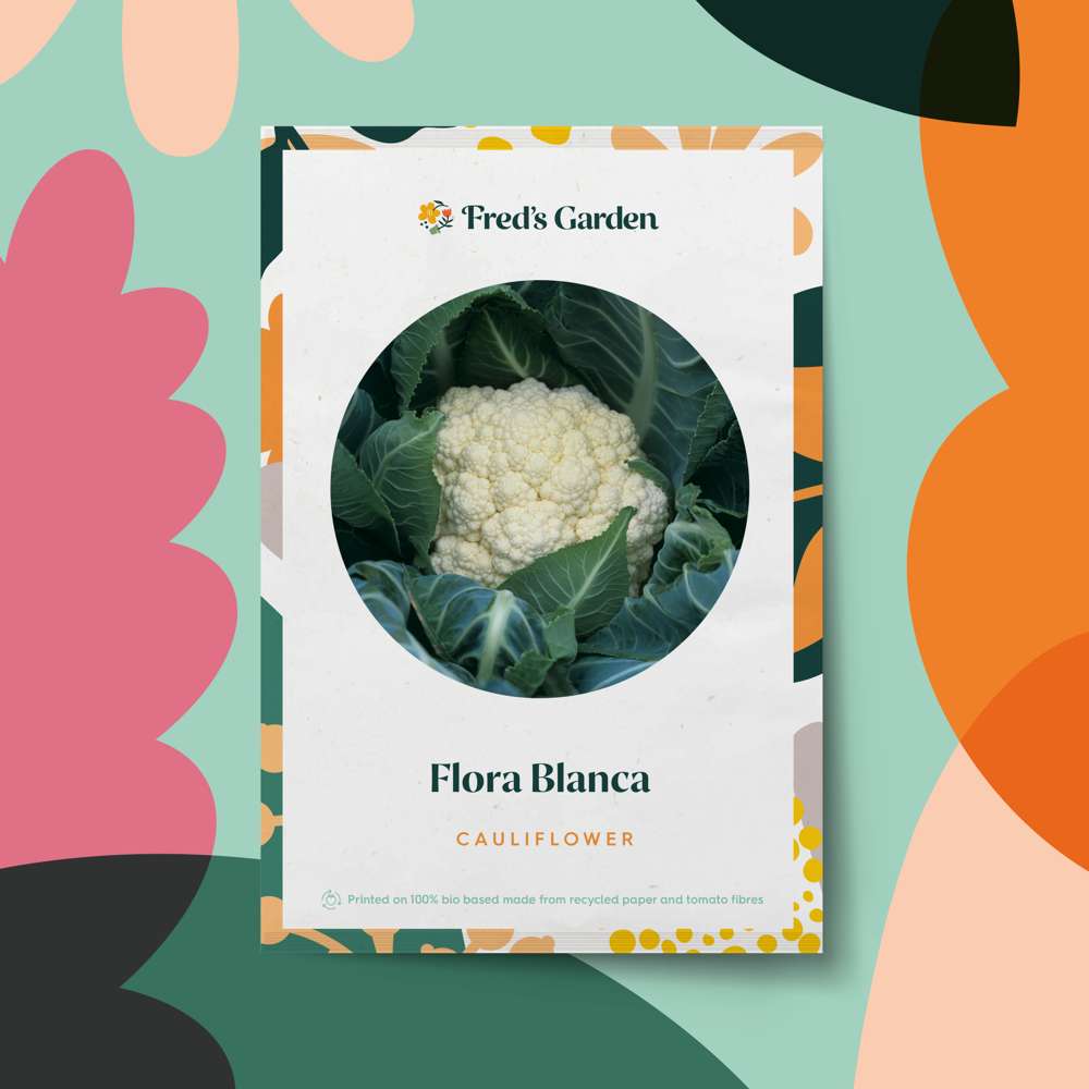 Blomkål 'Flora Blanca' (ØKO frø)