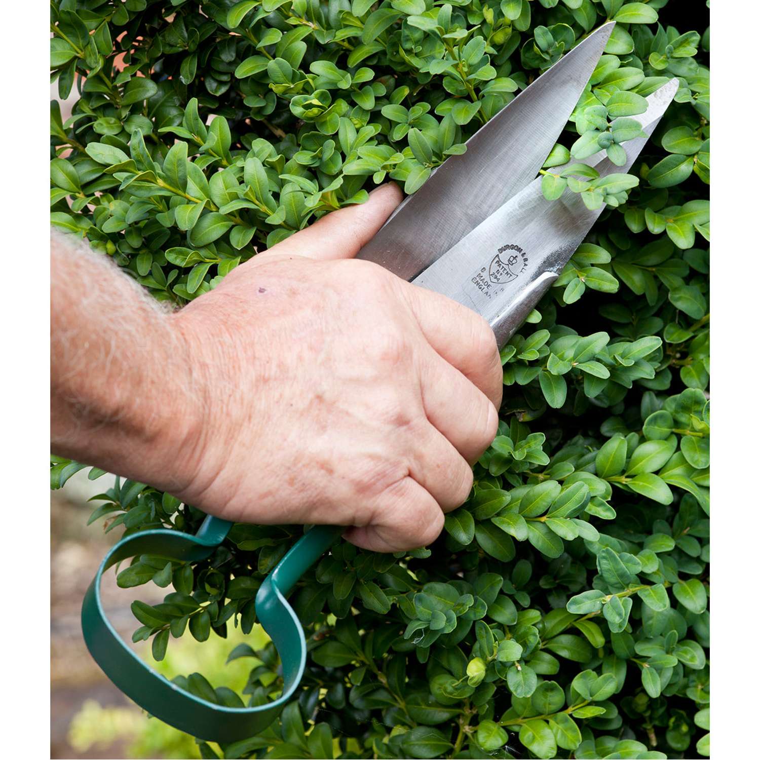 Burgon & Ball Formklippesaks – Stor