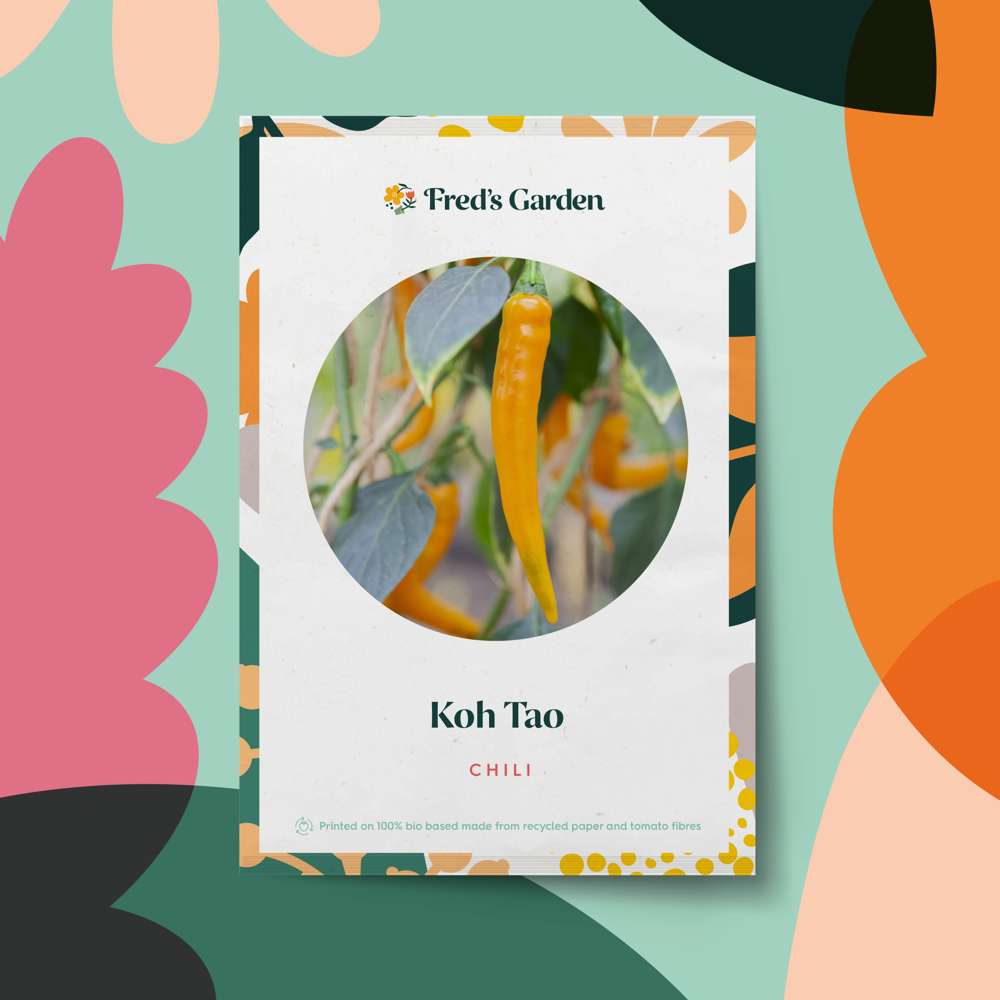 Chili 'Koh Tao' (frø)