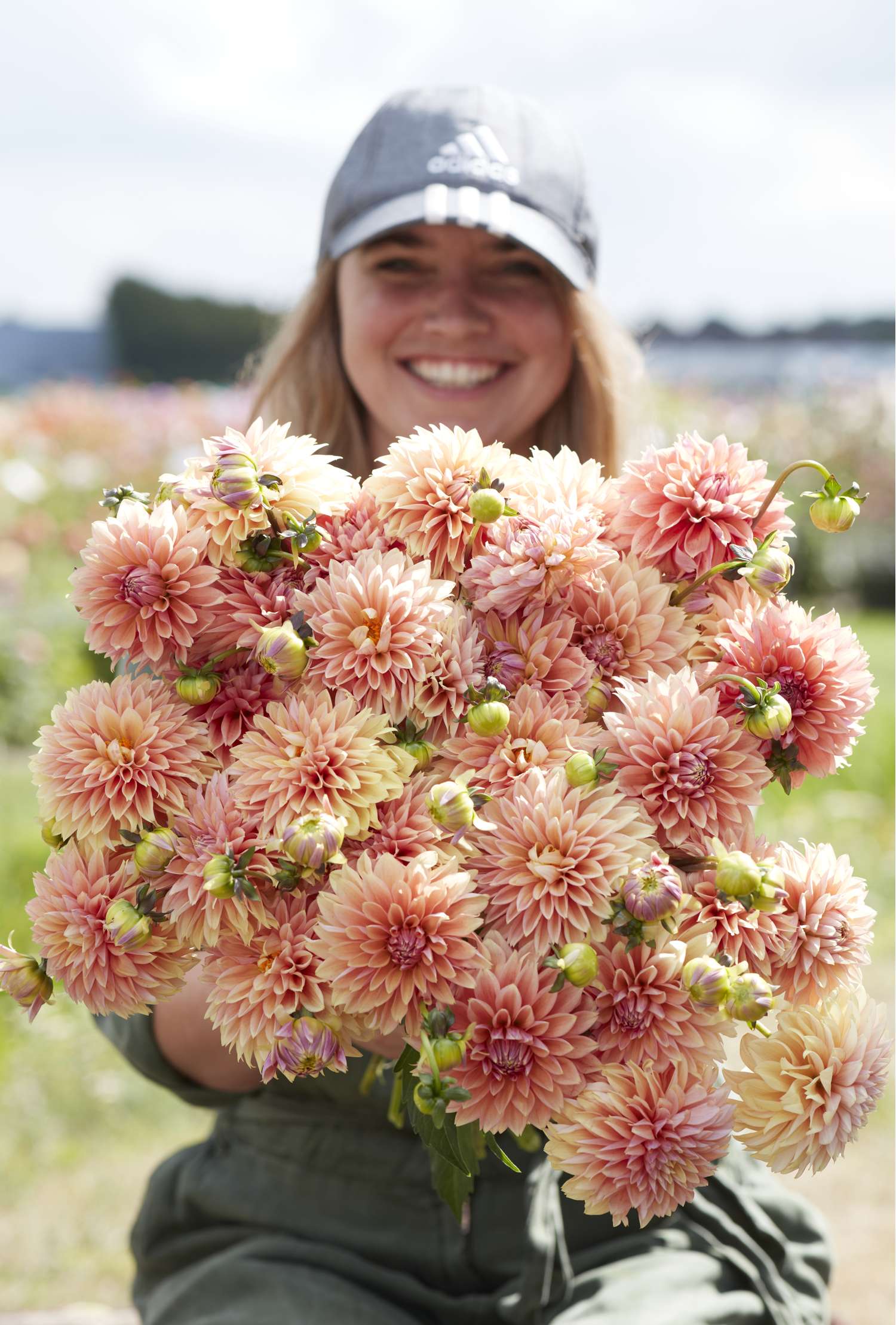 Dahlia 'Kick Off'