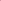 Dahliamix 'Champagne'
