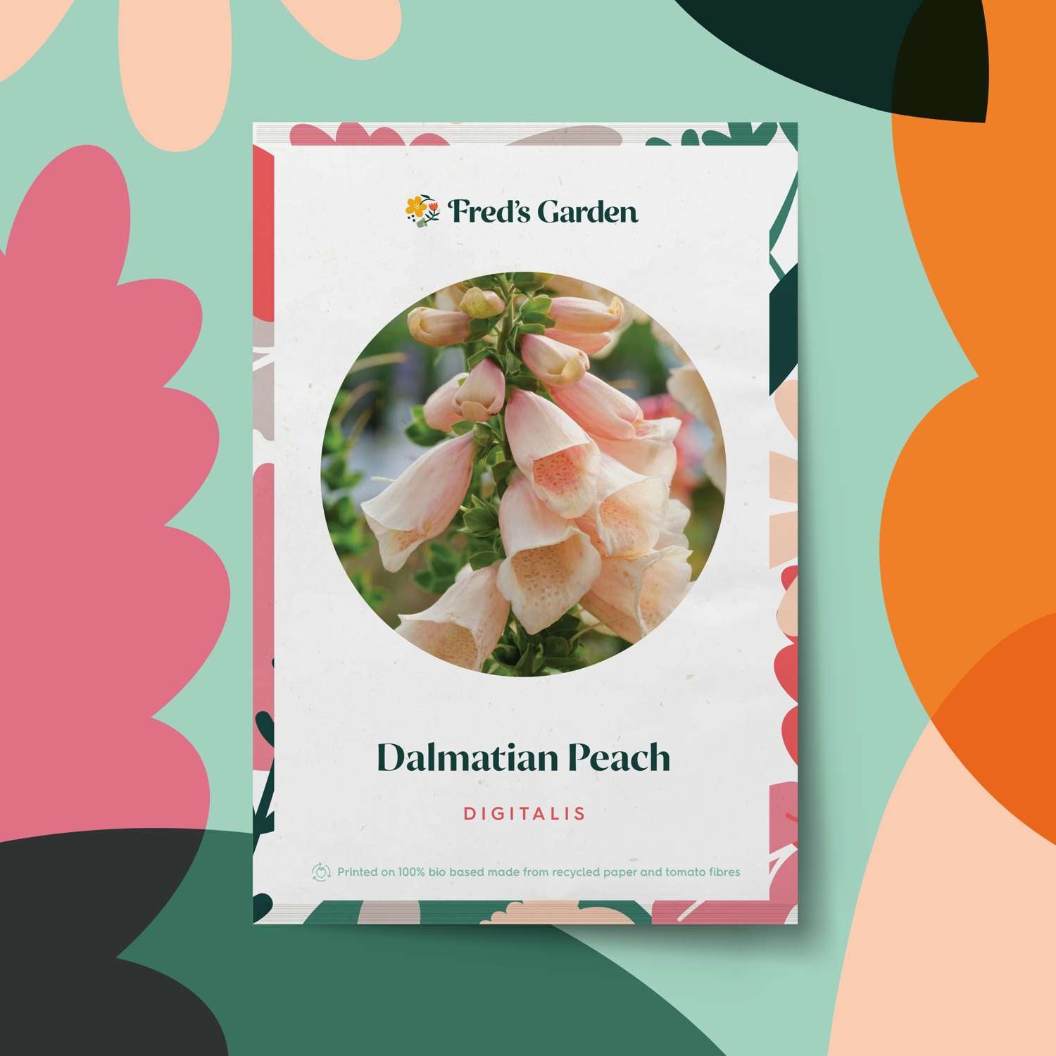 Fingerbøl 'Dalmatian Peach' (frø)