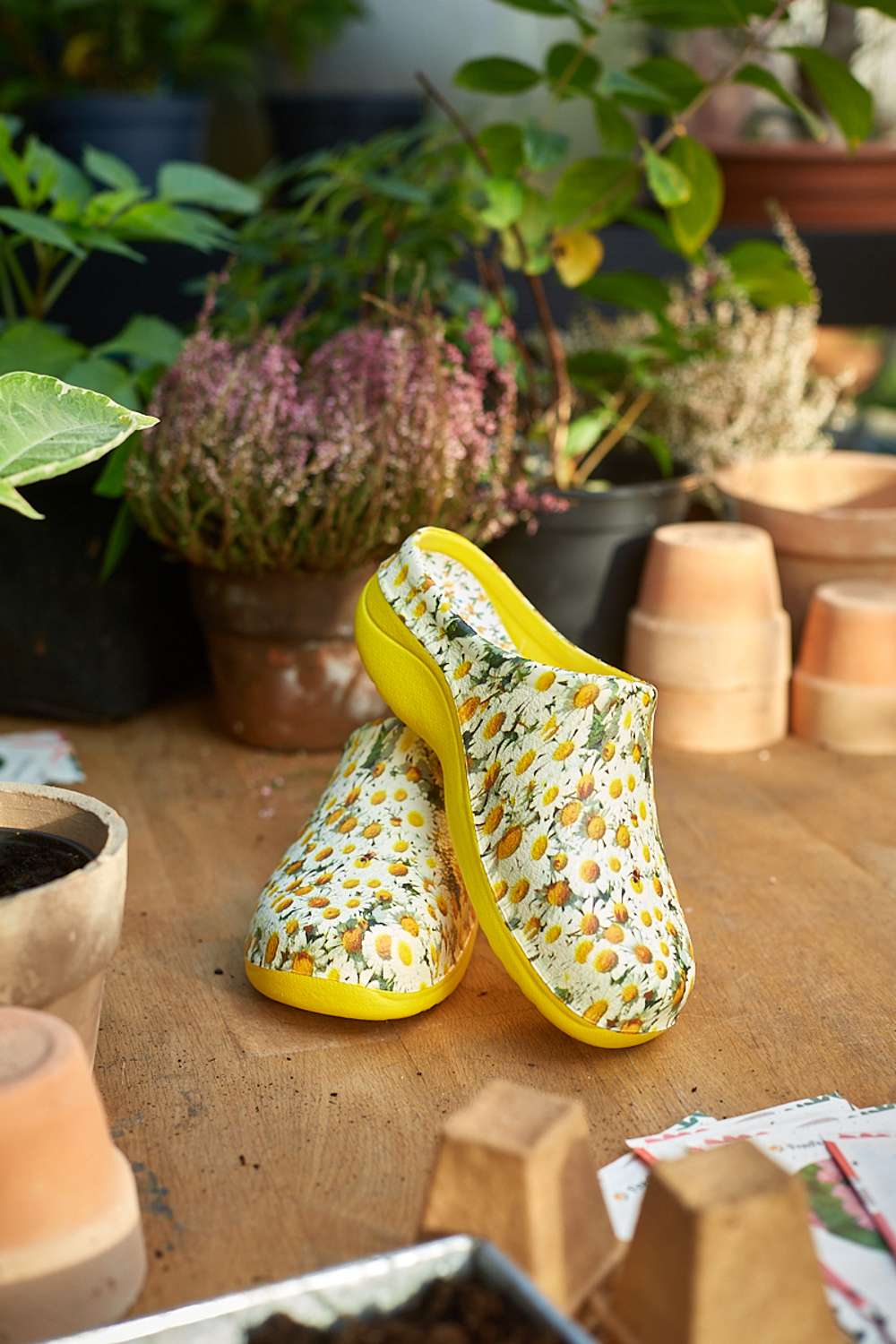 Havesko 'Daisy Lemon'