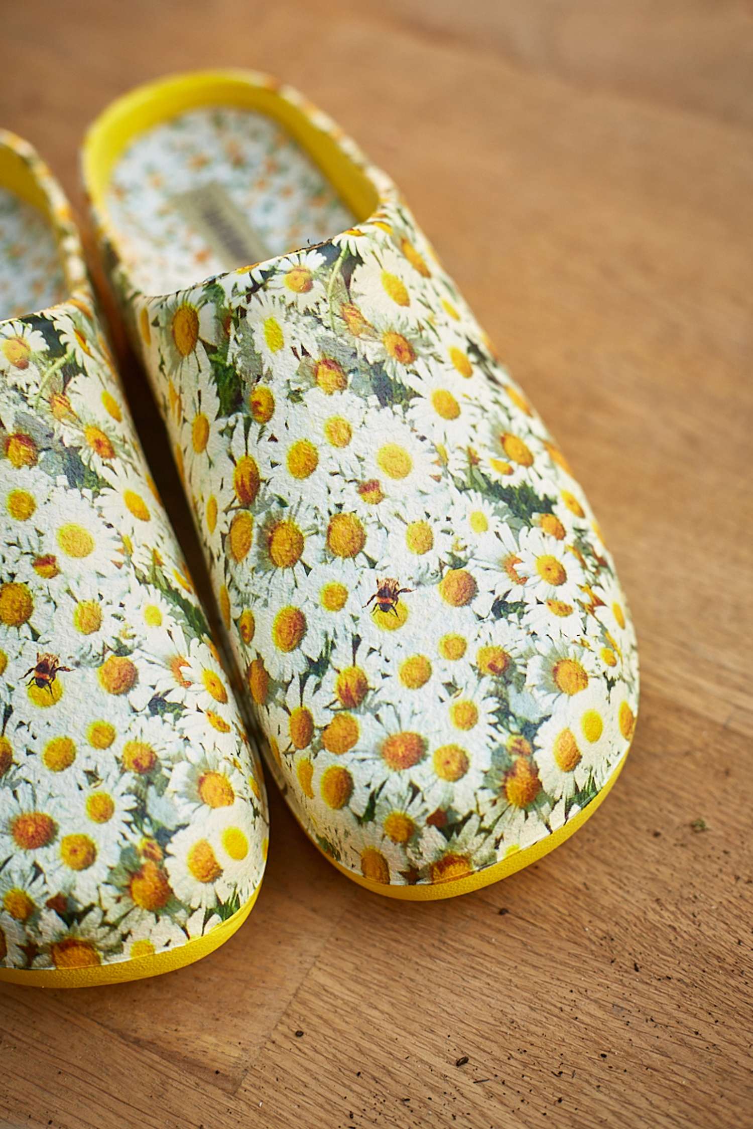 Havesko 'Daisy Lemon'