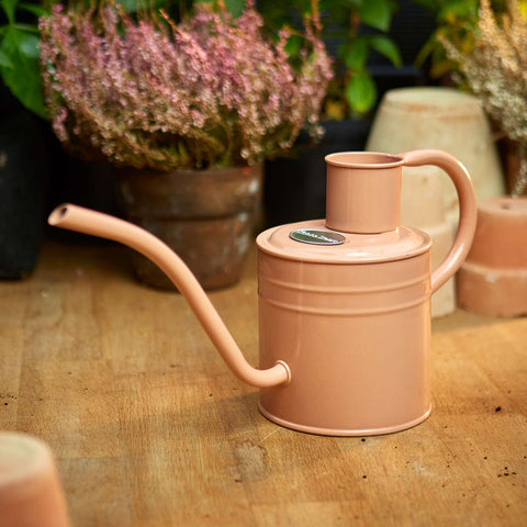 Indendørs vandkande - Blush Pink 1 L