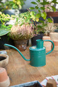 Indendørs vandkande - Sage Green 1 L