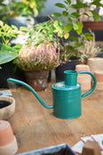 Indendørs vandkande - Sage Green 1 L