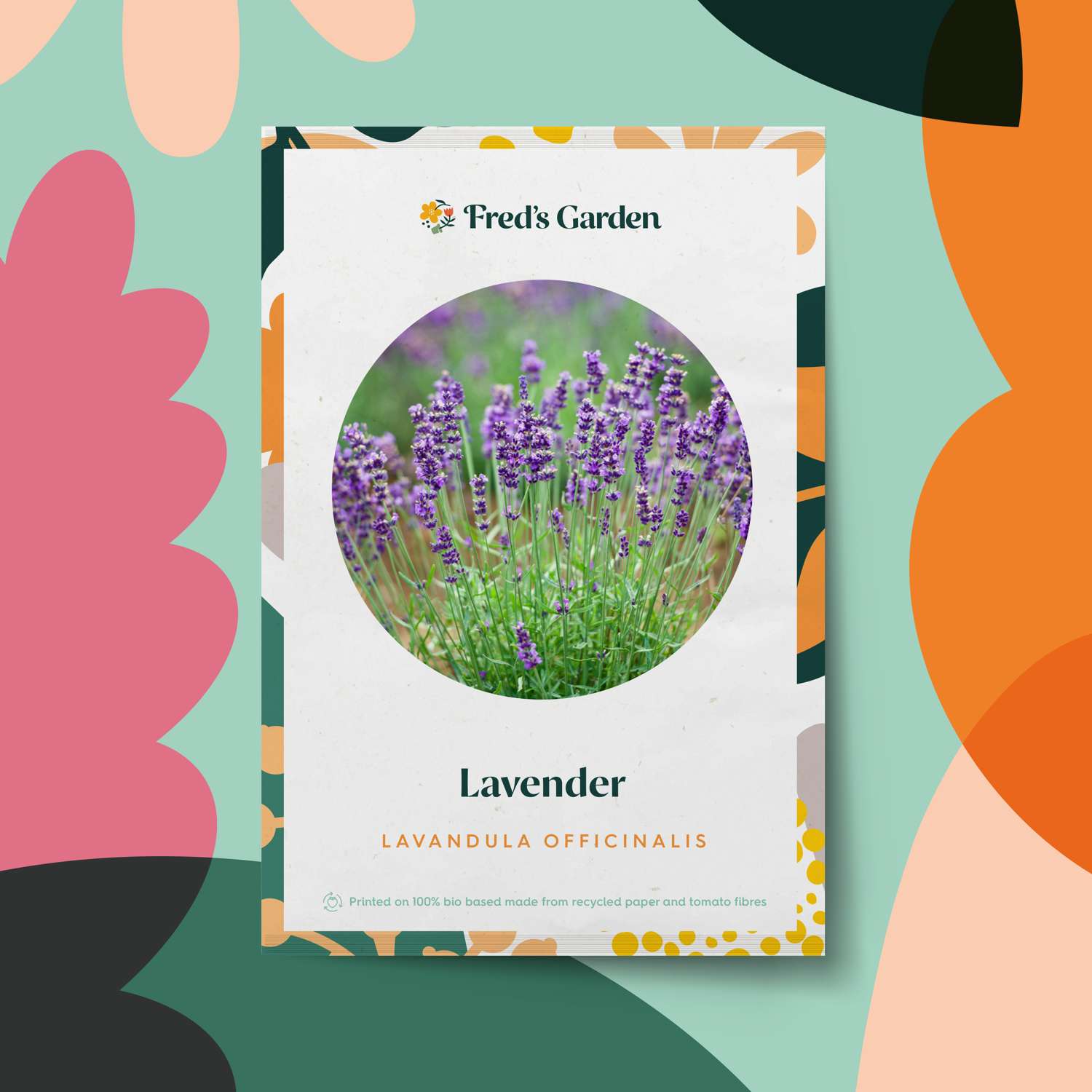 Lavendel (ØKO frø)