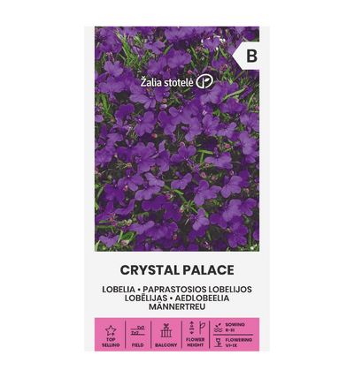 Lobelia 'Crystal Palace', blomsterfrø