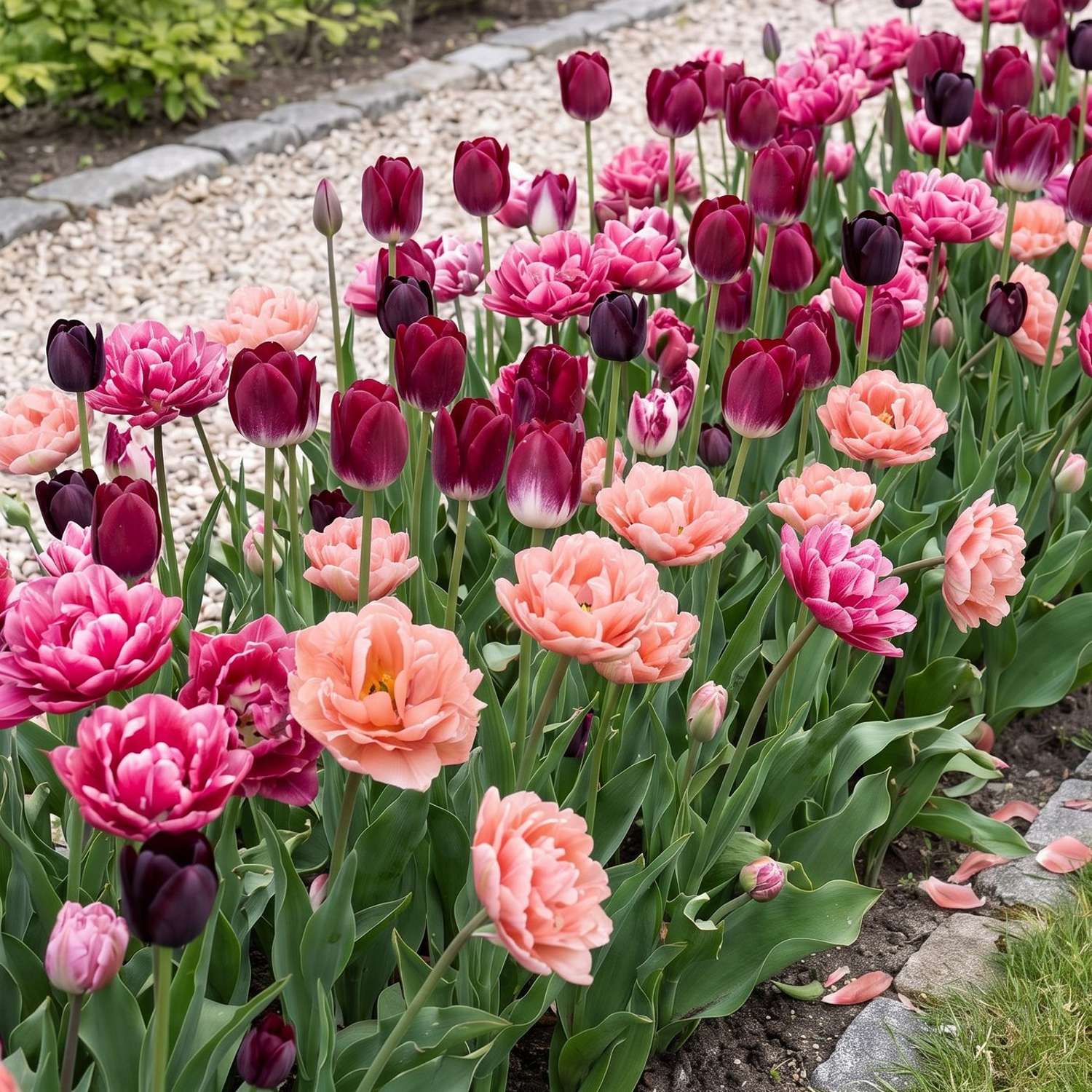 Færdigbed 'Pink Peony' (1 m²)