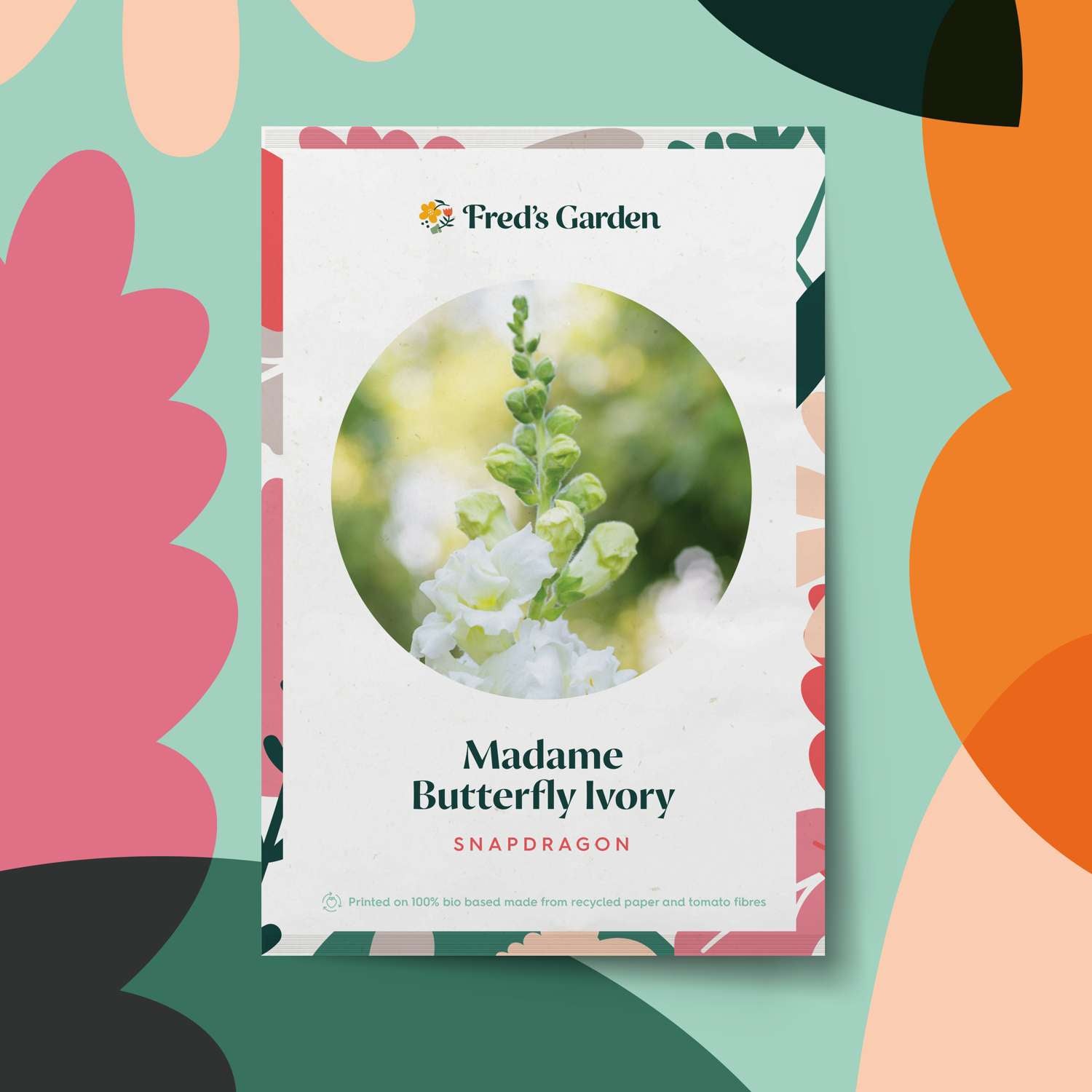 Løvemund 'Madame Butterfly Ivory' (frø)