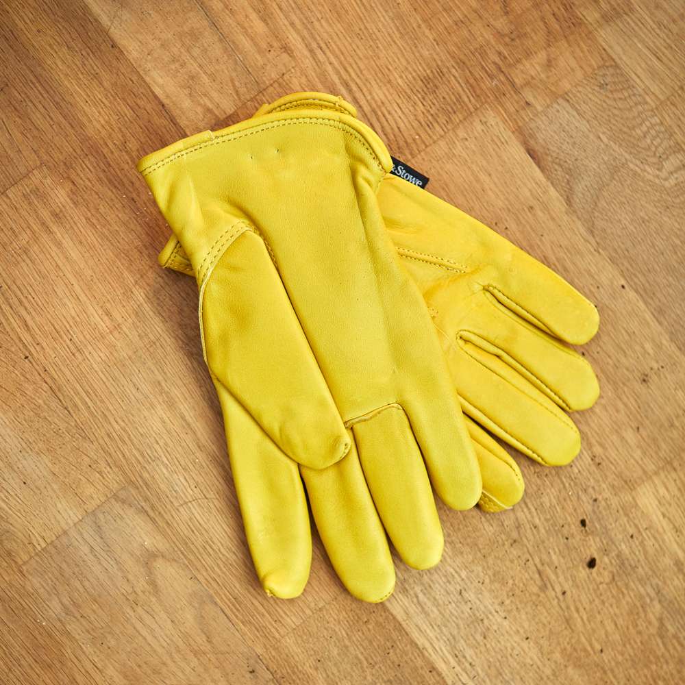 Luksus læder handsker, dame, medium