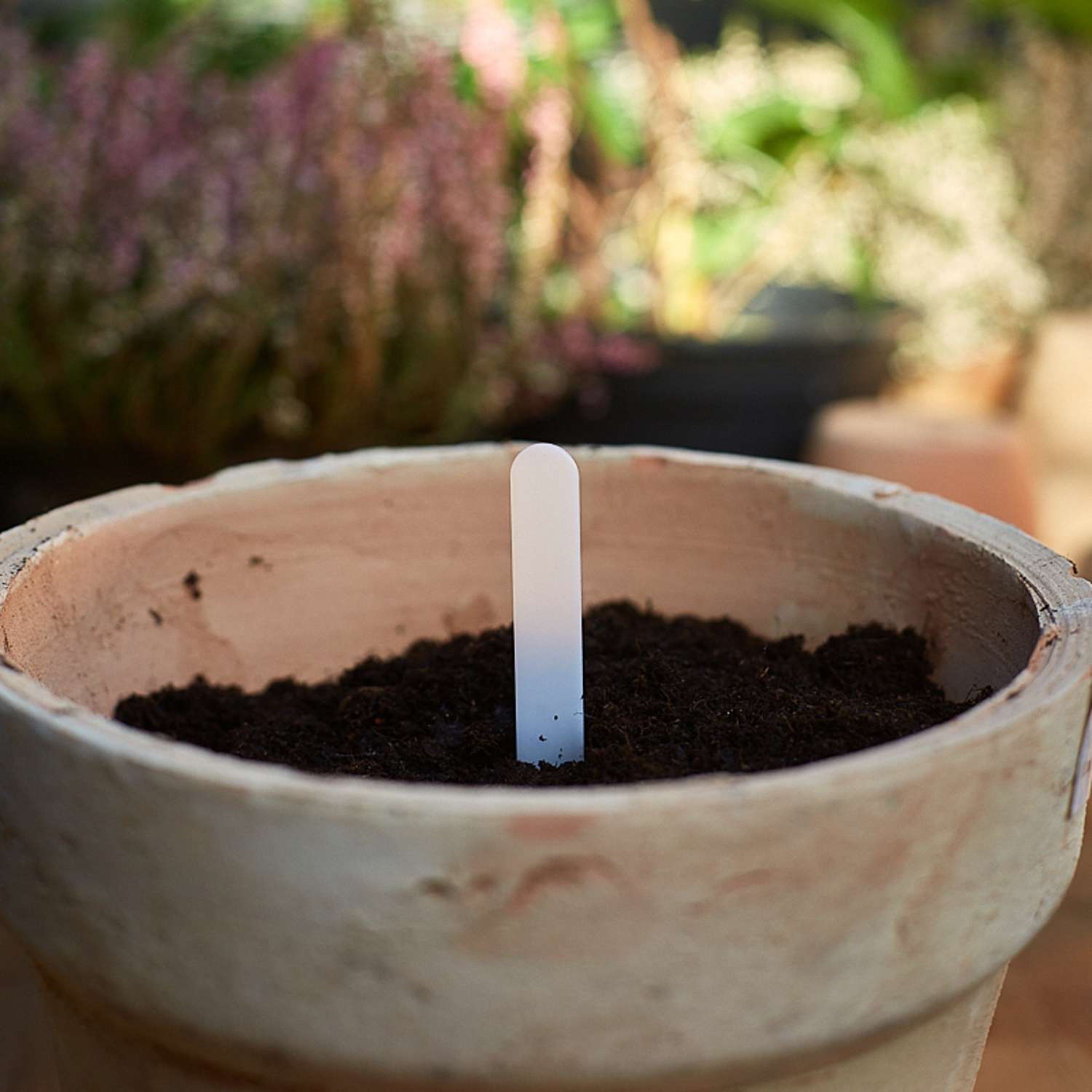 Planteskilte, 10 cm (50 stk)