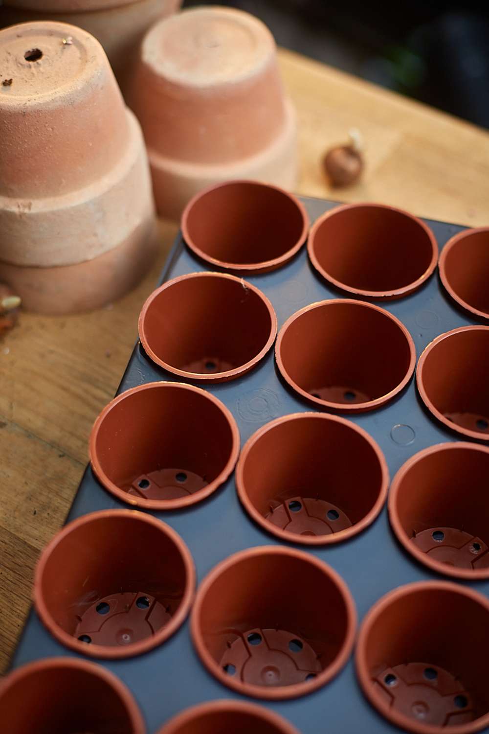 Såbakke med 40 potter