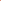 Ranunkelmix 'Elegance Pastello Peach'