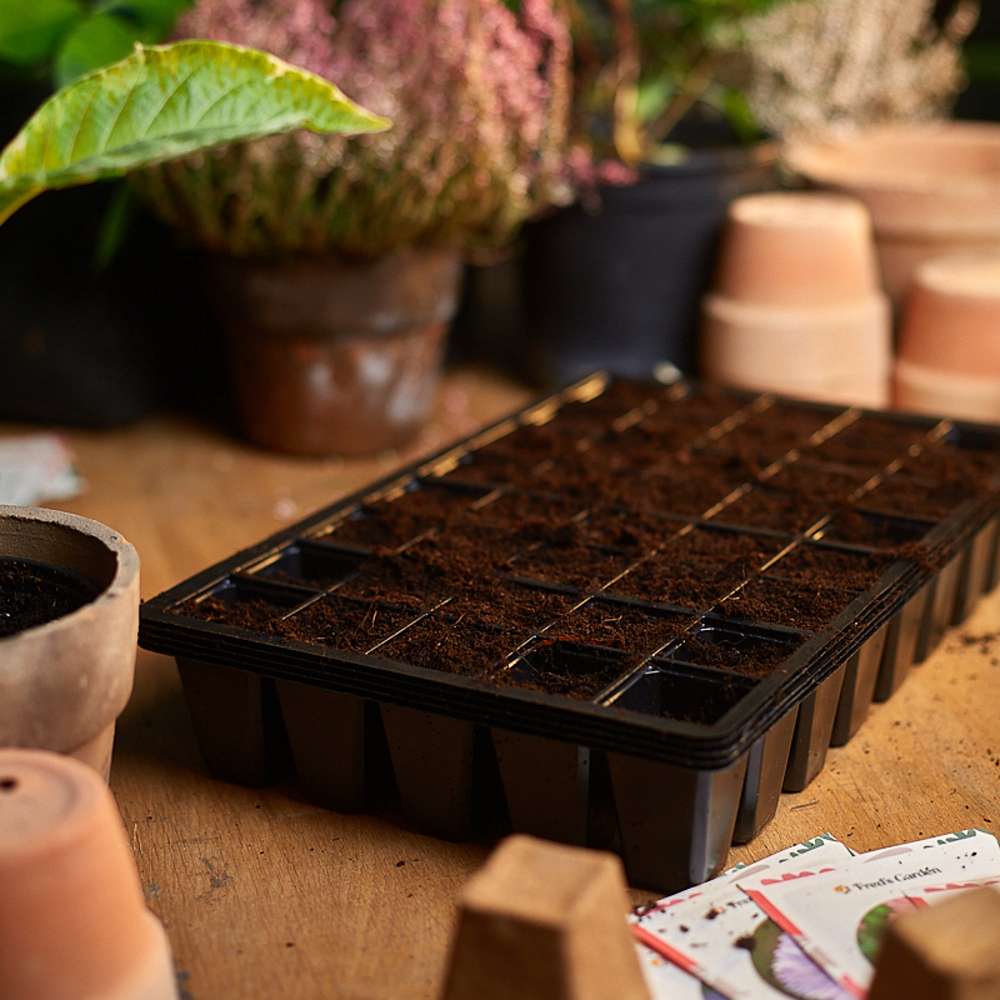 Såbakke m. 40 celler, 5 stk.