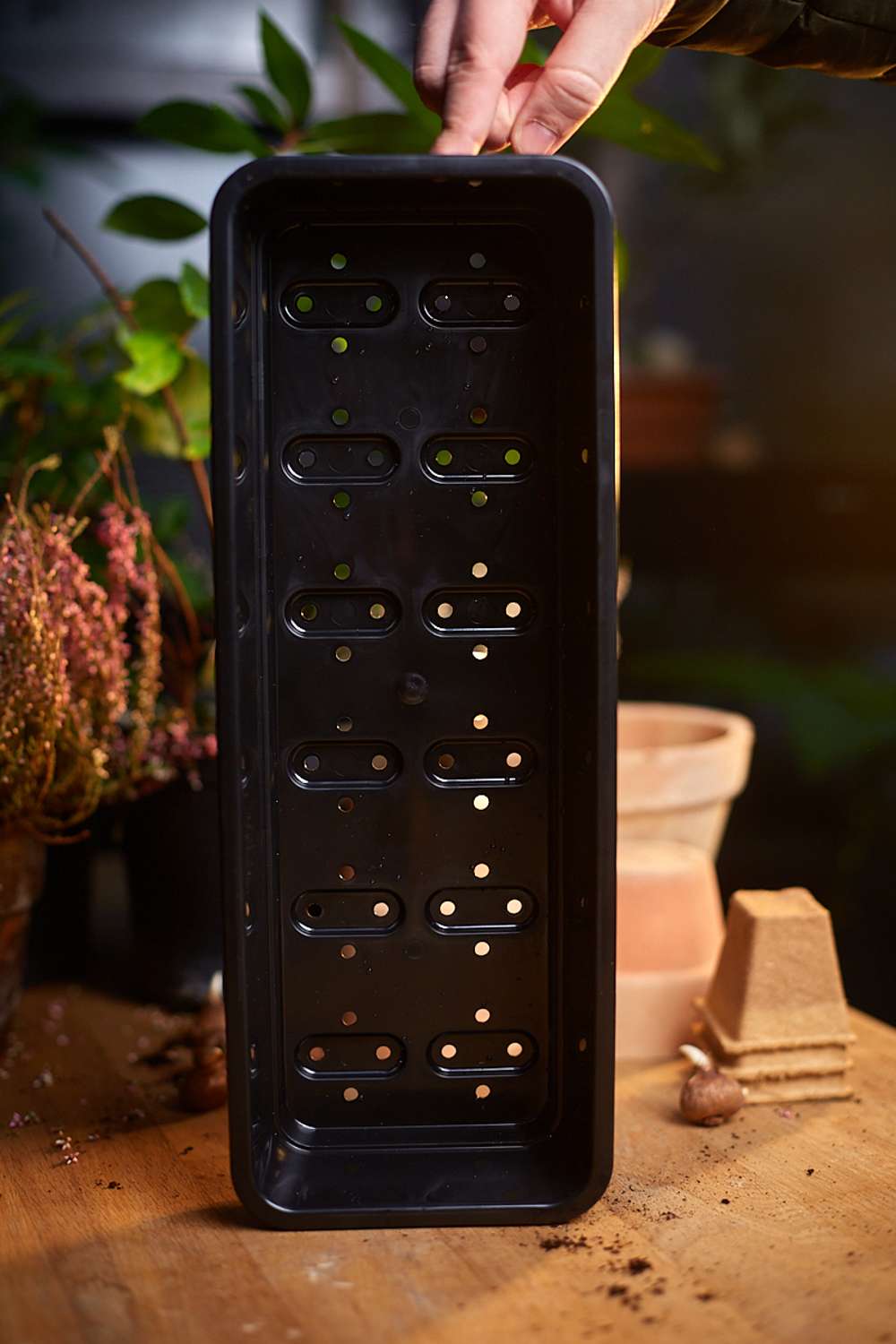 Smal såbakke med huller