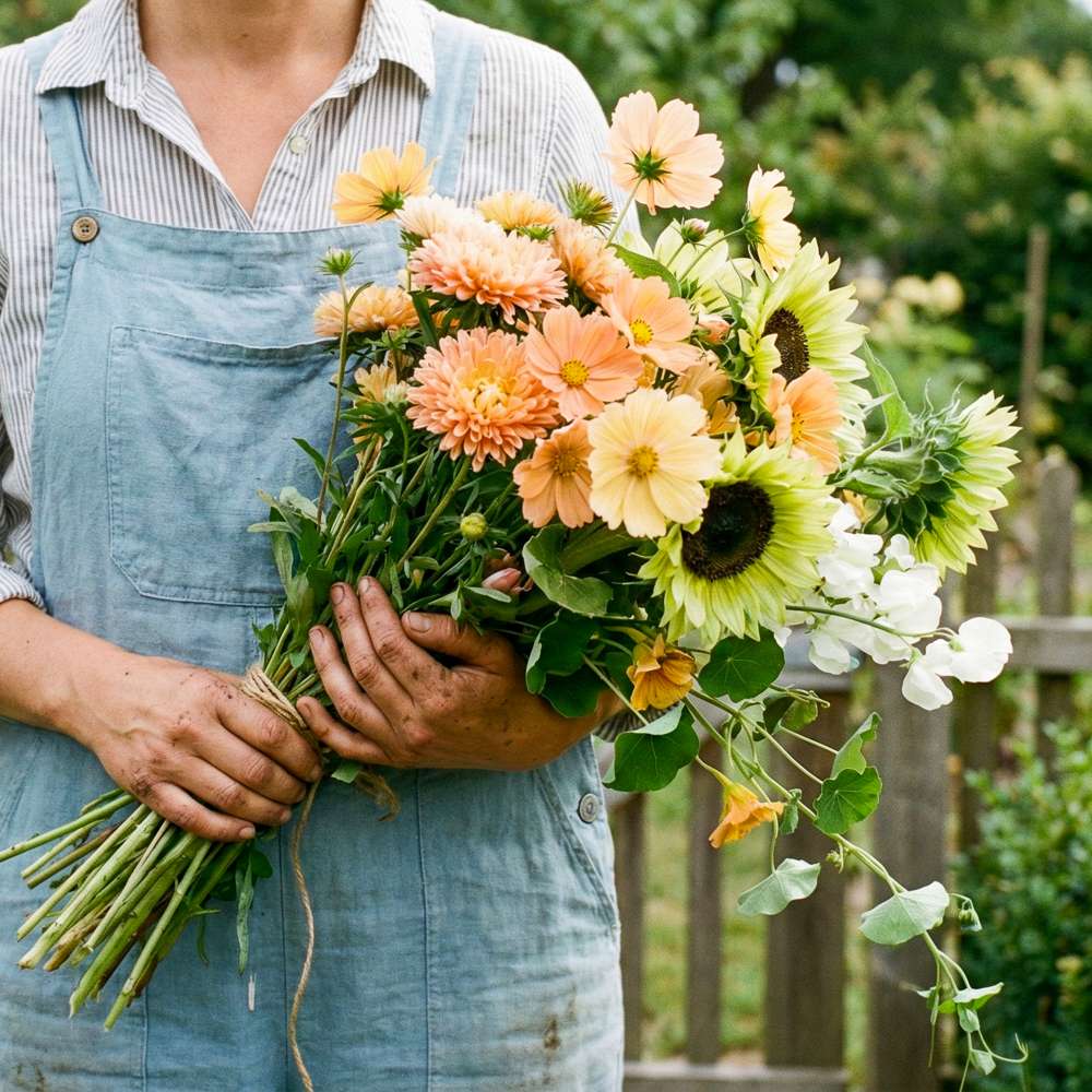 Summerblues (XL 15 poser)