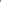 Tulipan 'Pink Pride'