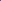 Anemone Blue Shades. - Blomsterverden