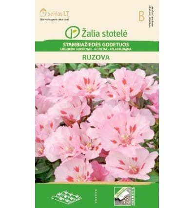 Atlaskblomst "Ruzova" pink - Blomsterverden