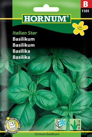 Basilikum "Italian Star" - Blomsterverden