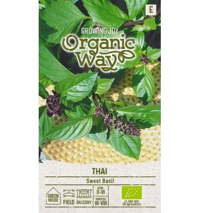 Basilikum "Sweet Thai" økologisk - Blomsterverden