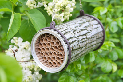 Birede - 'The Bee Nester' - Blomsterverden