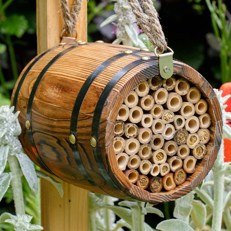 Bitønden - 'The Bee Barrel' - Blomsterverden