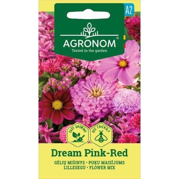 Blomsterblanding "DREAM PINK-RED" - Blomsterverden
