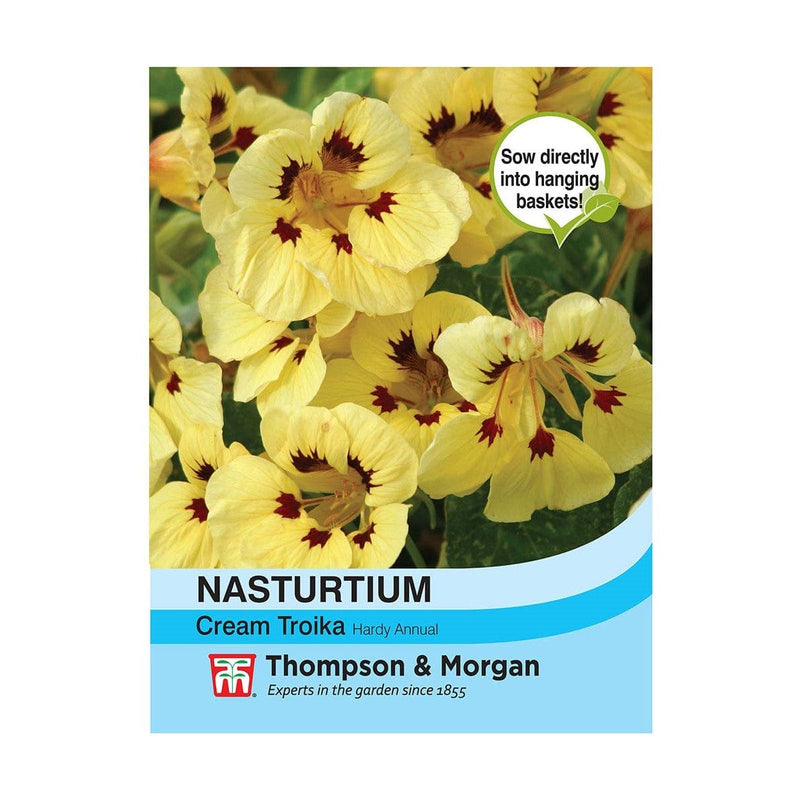 Blomsterkarse, Nasturtium "Cream Troika".